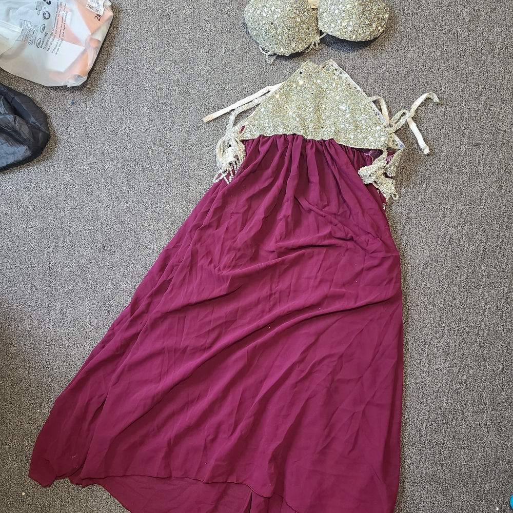 Belly Dancing Custome Purple And Silver
